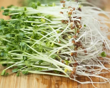 7 Foods Linked to Hormonal and Breast Health Balance